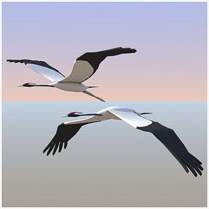 cranes flying birds 3D model