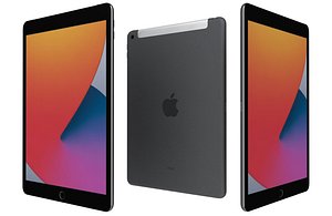 Apple iPad 8 10 2 2020 WiFi and Cellular Space Gray Low Poly
