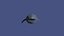 Whale