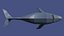 Whale