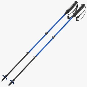 Hiking Or Ski Pole 02