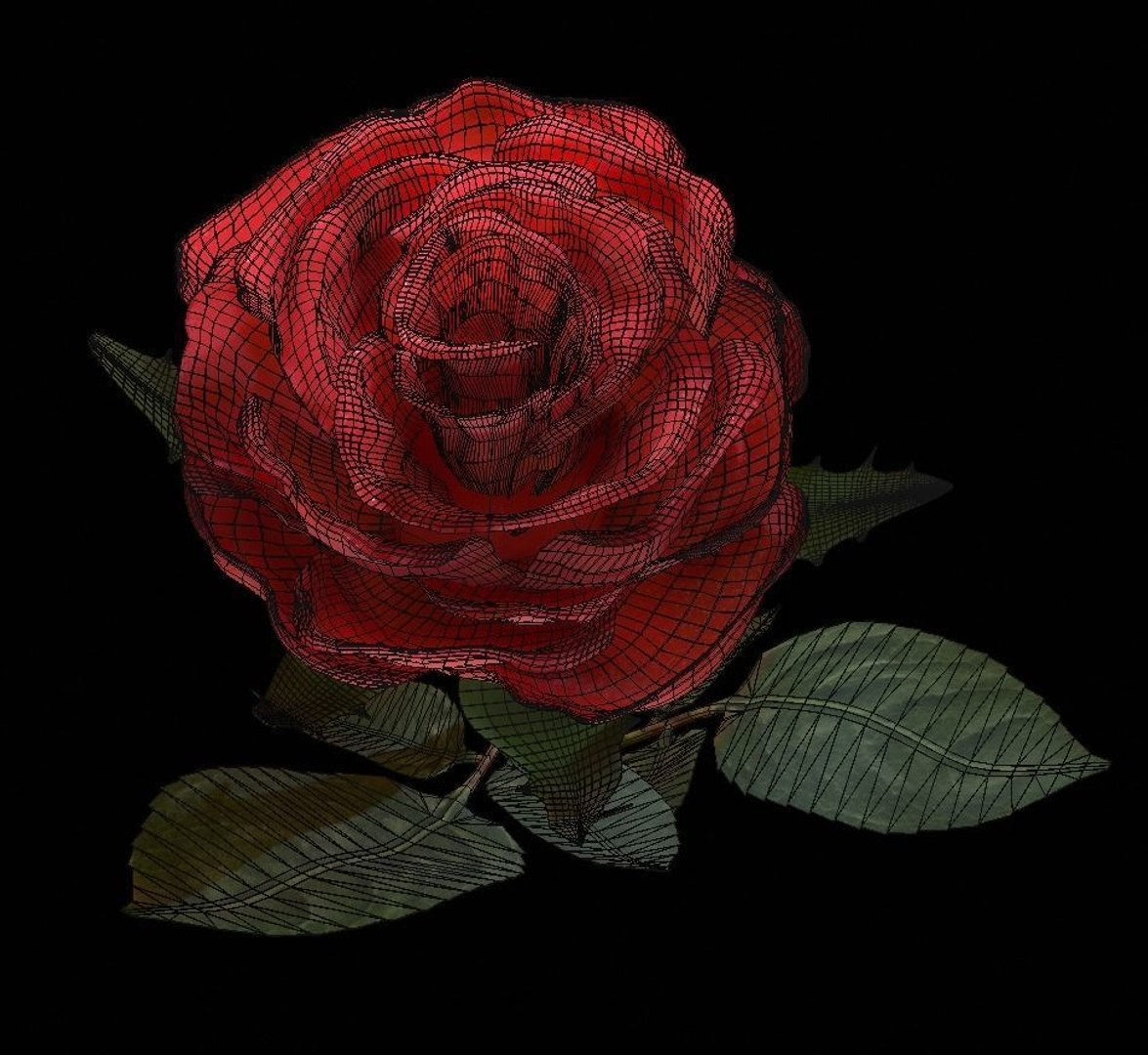 Realistic Rose Flower Blooming 3D Model - TurboSquid 1399342