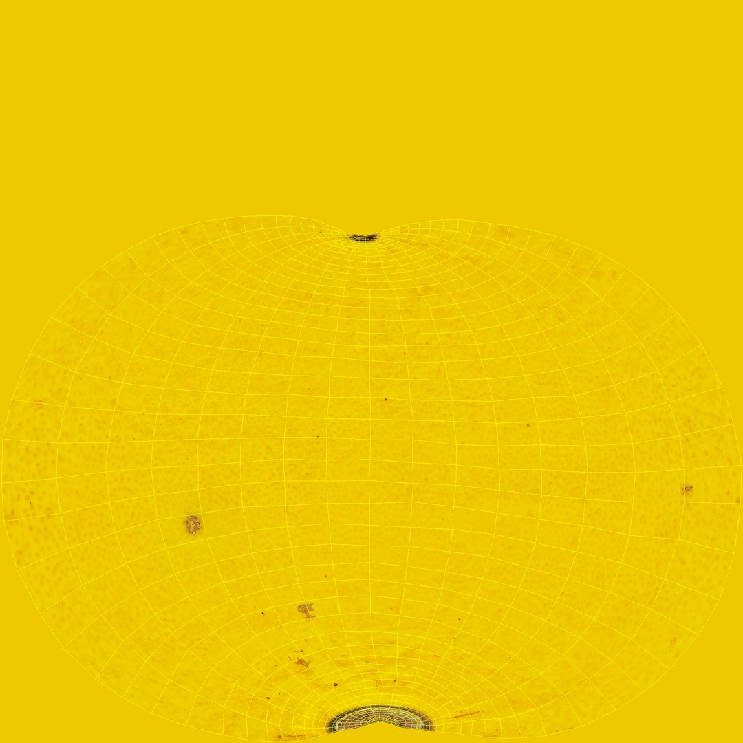 3D 02-04 lemon https://p.turbosquid.com/ts-thumb/zM/8Q6ErE/A7ffyISb/unwrap/png/1603871394/1920x1080/fit_q87/52a1e05123e494aeb2fbf761b64823a44af2b12b/unwrap.jpg