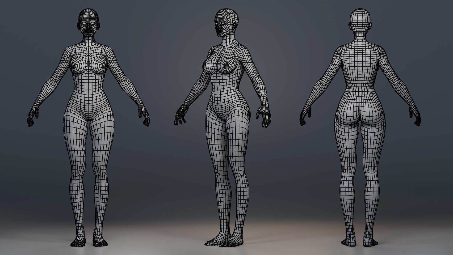 Female Basemesh Rigged Blender 3D - TurboSquid 2303732
