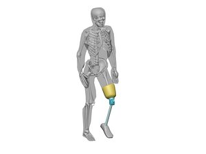 amputee transfemoral 3d max