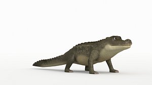 3D model Crocodile