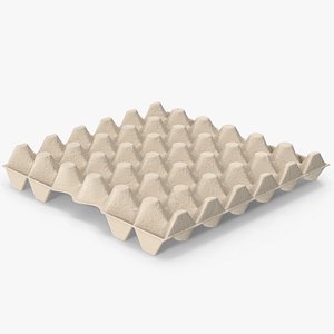 Egg Carton