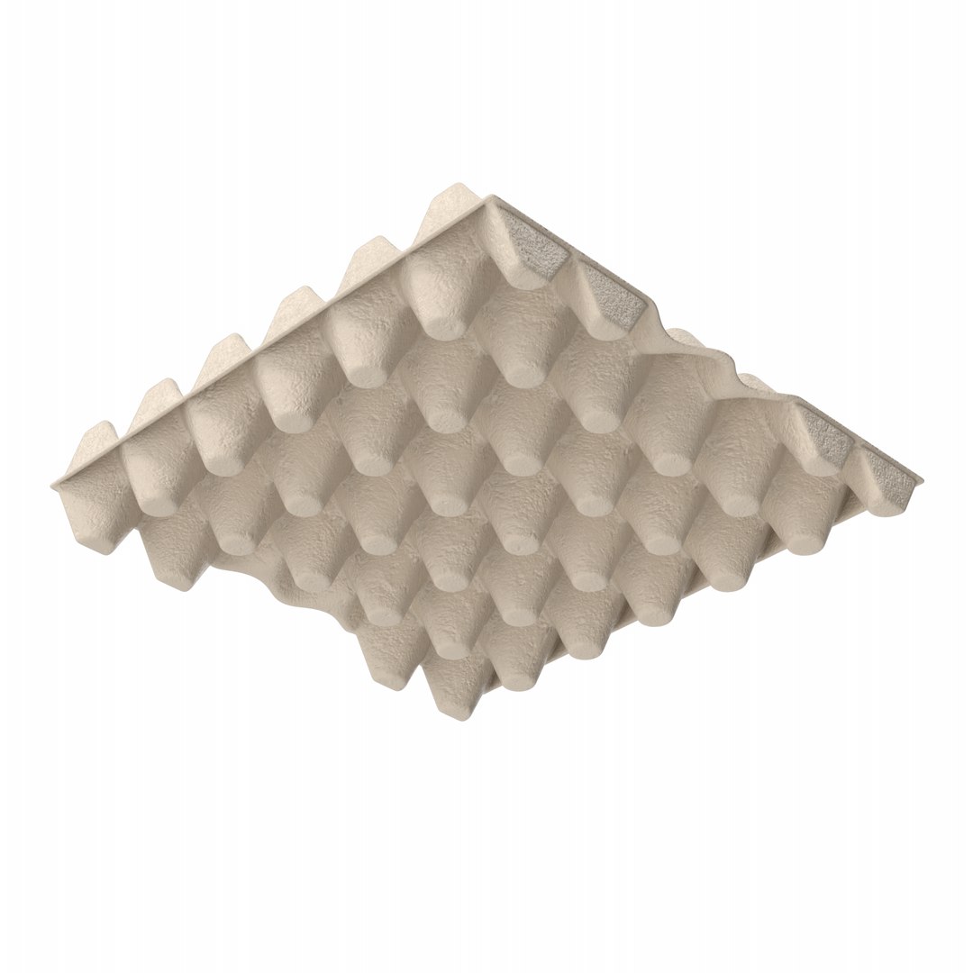 Egg Carton 3D model https://p.turbosquid.com/ts-thumb/zM/TwPCpR/b4/eggcarton.l07.2k/png/1710786861/1920x1080/fit_q87/c163984ef9325c37c52beed22c52d84b2e306ca1/eggcarton.l07.2k.jpg