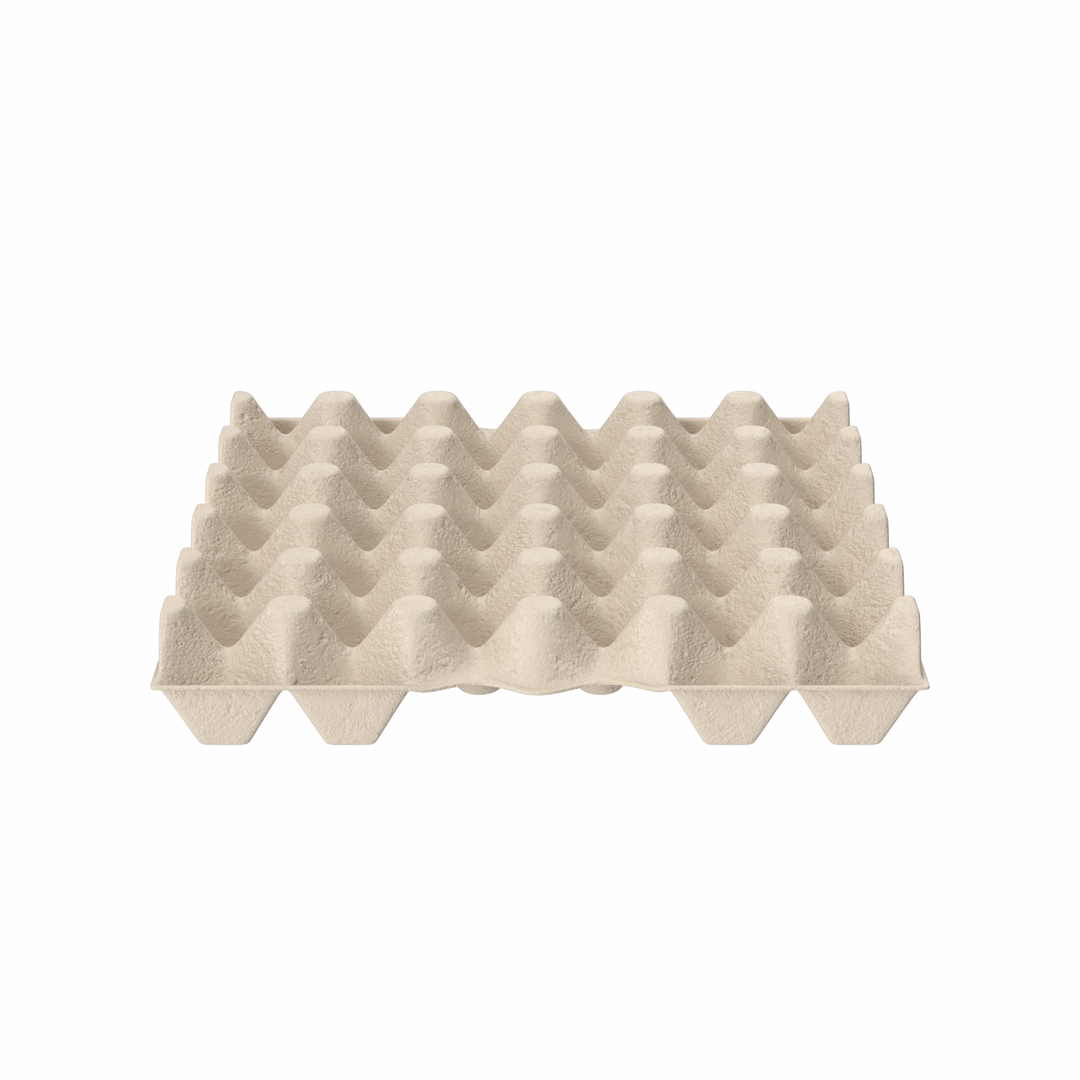 Egg Carton 3D Model TurboSquid 2205891