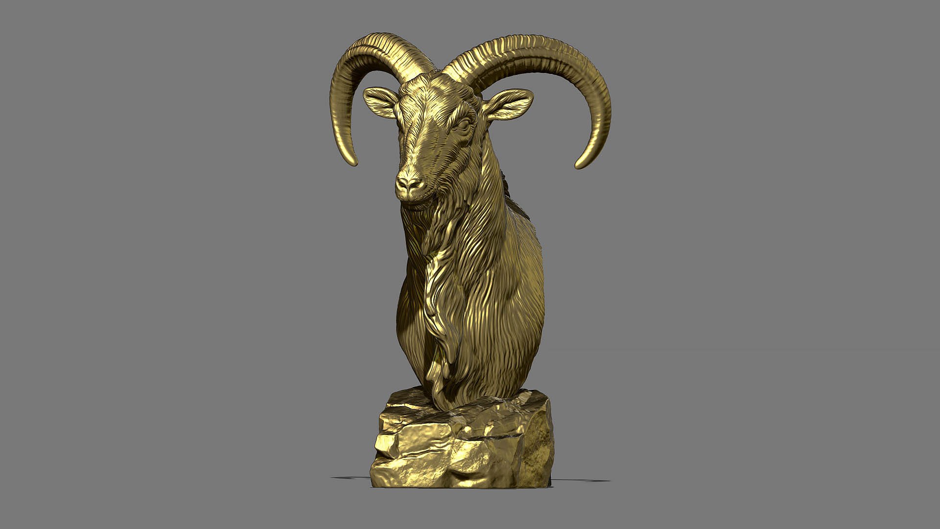 Barbary Sheep model https://p.turbosquid.com/ts-thumb/zM/VO8huE/9T/26/jpg/1780388468/1920x1080/fit_q87/4a280dab71687e45559bec3c0eac0ebdc6118509/26.jpg