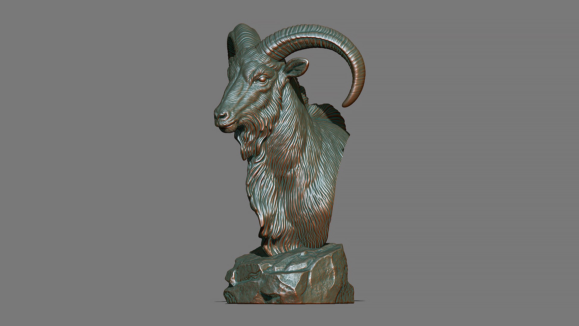 Barbary Sheep model https://p.turbosquid.com/ts-thumb/zM/VO8huE/AY/25/jpg/1780388468/1920x1080/fit_q87/5686fda8d995f6fd3e941b4e88710b7ea6471672/25.jpg
