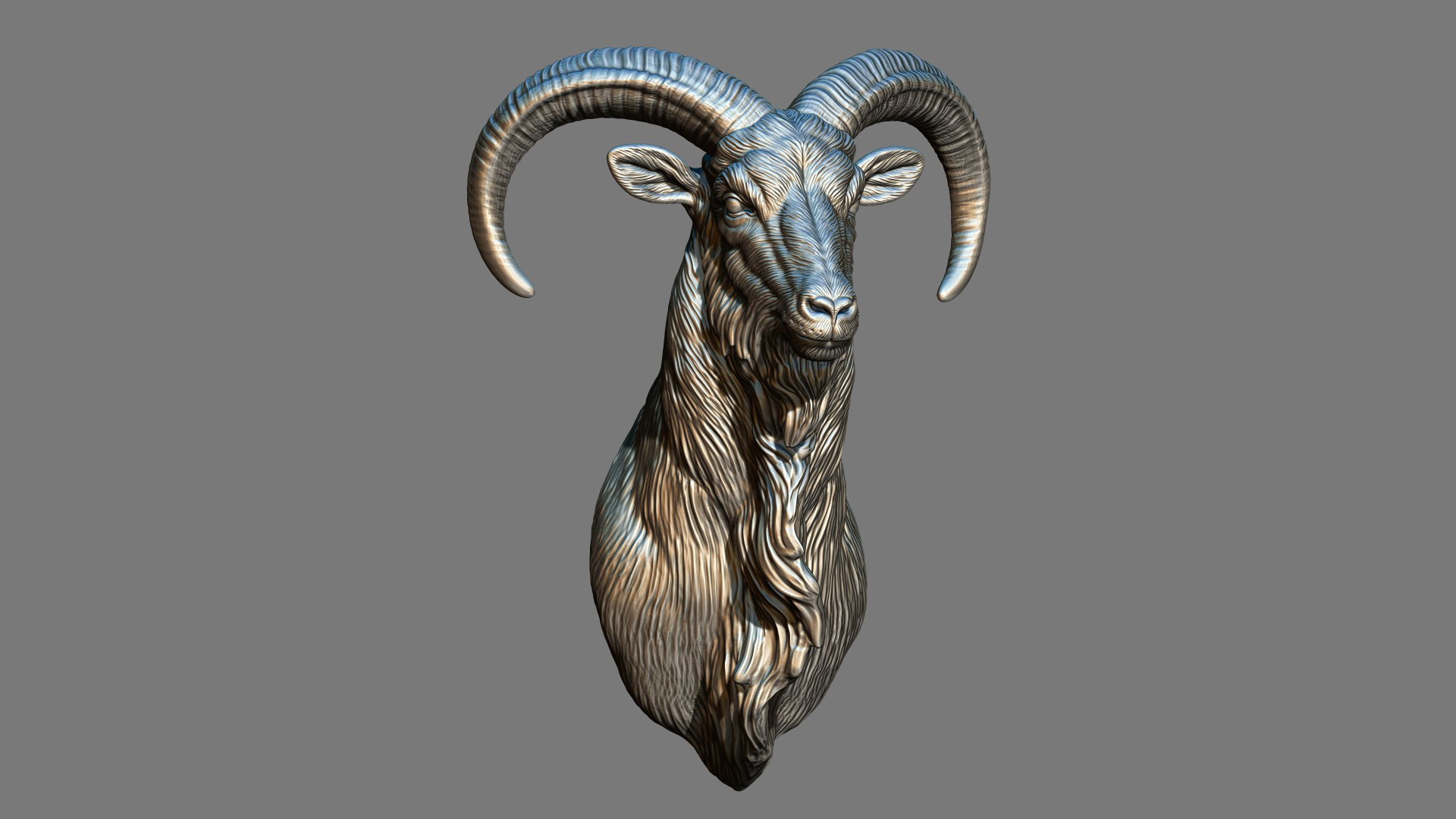 Barbary Sheep model https://p.turbosquid.com/ts-thumb/zM/VO8huE/Qn/10/jpg/1780388437/1920x1080/fit_q87/8d391b392205ec0e157f59e0dcd85d5fef322422/10.jpg
