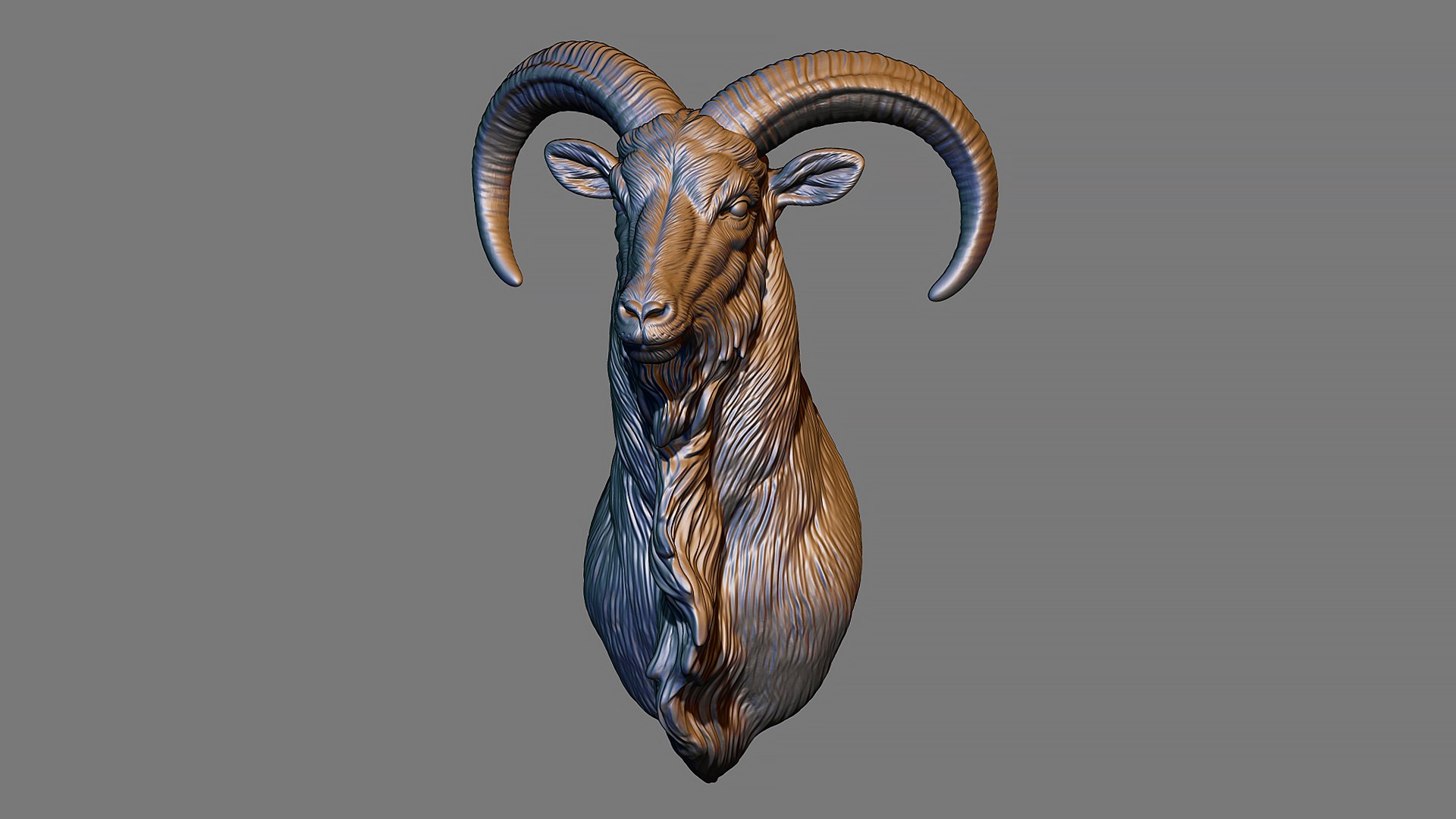 Barbary Sheep model https://p.turbosquid.com/ts-thumb/zM/VO8huE/Uz/12/jpg/1780388451/1920x1080/fit_q87/9104bdac97db14b2f2a866139412e8b80572d2e0/12.jpg