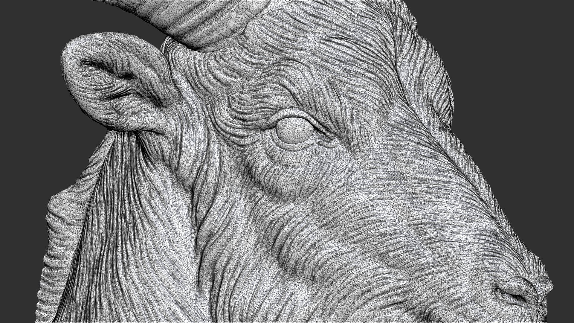 Barbary Sheep model https://p.turbosquid.com/ts-thumb/zM/VO8huE/W4/70/jpg/1780388472/1920x1080/fit_q87/d669595118134b4defe1b415b3f72bae291a870a/70.jpg