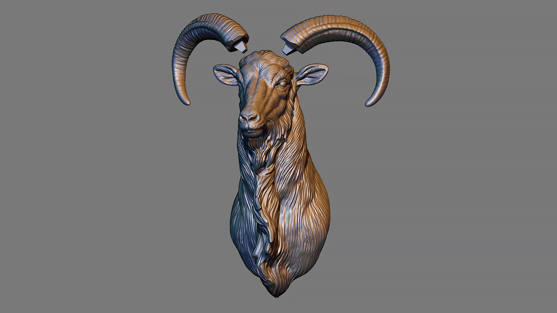 Barbary Sheep model https://p.turbosquid.com/ts-thumb/zM/VO8huE/Xu/8/jpg/1780388430/1920x1080/fit_q87/50f60628b3dfbb58ee7547d8d29c99949006a901/8.jpg