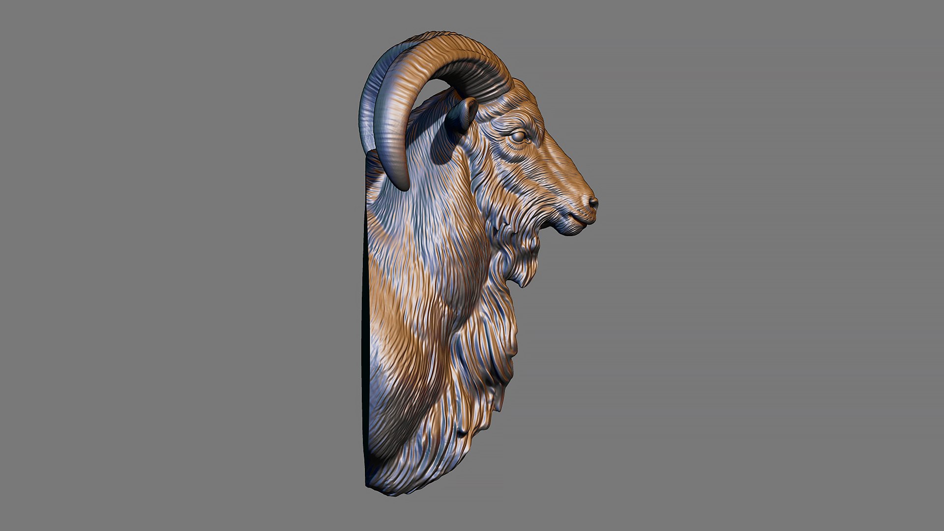 Barbary Sheep model https://p.turbosquid.com/ts-thumb/zM/VO8huE/YU/14/jpg/1780388454/1920x1080/fit_q87/c3ca5f5294308f365c321f9484ab7ecd752c7d0b/14.jpg
