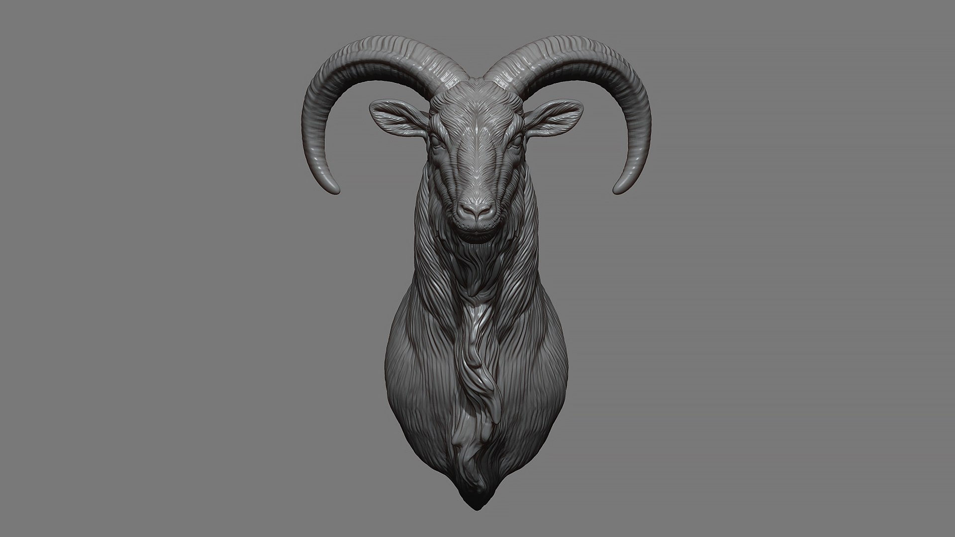 Barbary Sheep model https://p.turbosquid.com/ts-thumb/zM/VO8huE/ge/4/jpg/1780388416/1920x1080/fit_q87/60038639087426fd5f404e0e65c4b8d42750b460/4.jpg