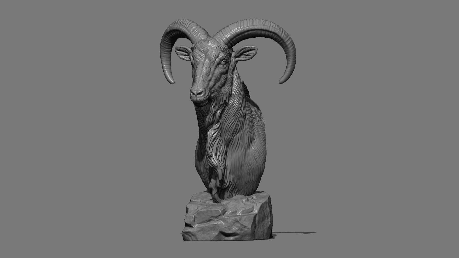 Barbary Sheep model https://p.turbosquid.com/ts-thumb/zM/VO8huE/jt/21/jpg/1780388465/1920x1080/fit_q87/23fe398fcbd0c89c406d73718ed9914235ddcd16/21.jpg