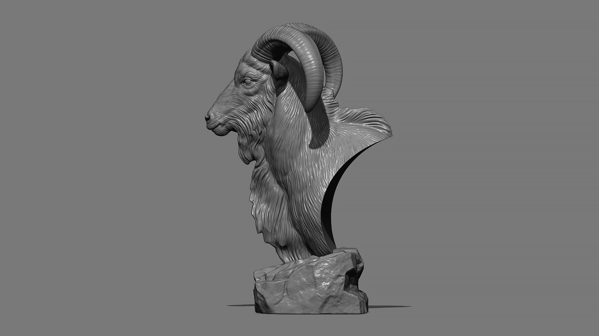 Barbary Sheep model https://p.turbosquid.com/ts-thumb/zM/VO8huE/ry/22/jpg/1780388467/1920x1080/fit_q87/348ee185ab7e1db68b3d67f54c642930b10fb501/22.jpg