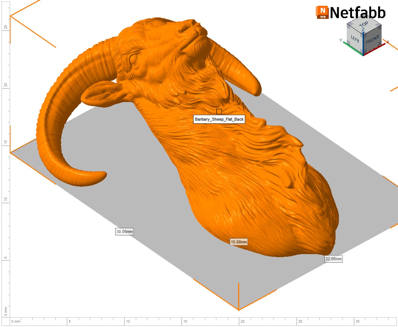 Barbary Sheep model https://p.turbosquid.com/ts-thumb/zM/VO8huE/s2/69/png/1780388471/1920x1080/fit_q87/63e477c6fbd8566e06cf4295128528473425cba1/69.jpg