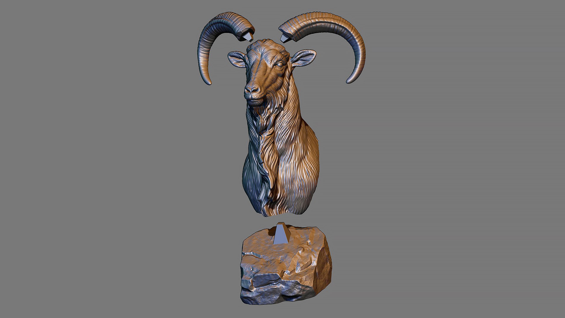 Barbary Sheep model https://p.turbosquid.com/ts-thumb/zM/VO8huE/xE/19/jpg/1780388460/1920x1080/fit_q87/d70ad9fbfe26551a4206c831b198427b2f31b9e3/19.jpg