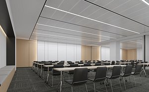 3D Conference room