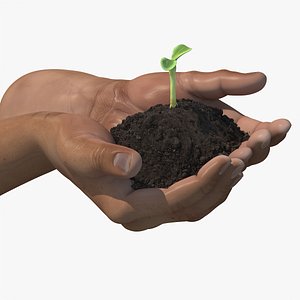 Hands Holding Seedling
