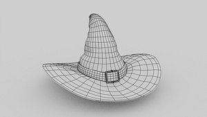 3D model Witch Hat 3D Model