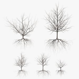 3D maple dry trees