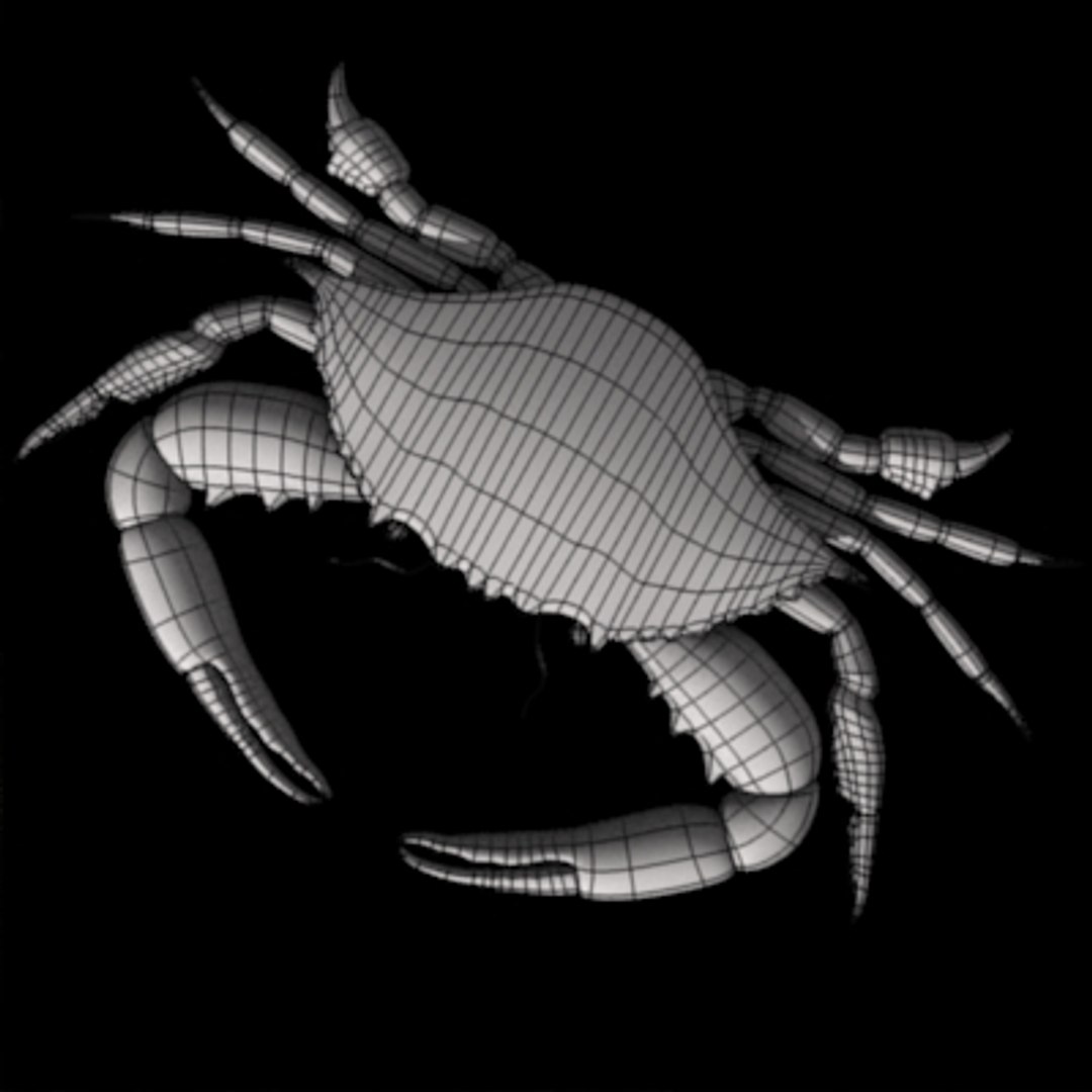 Crab 3d Model