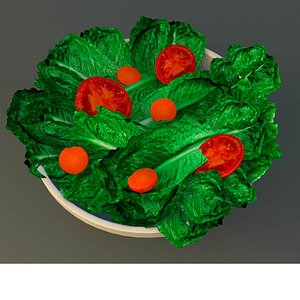 3d bowl salad