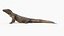 komodo dragon 3D model