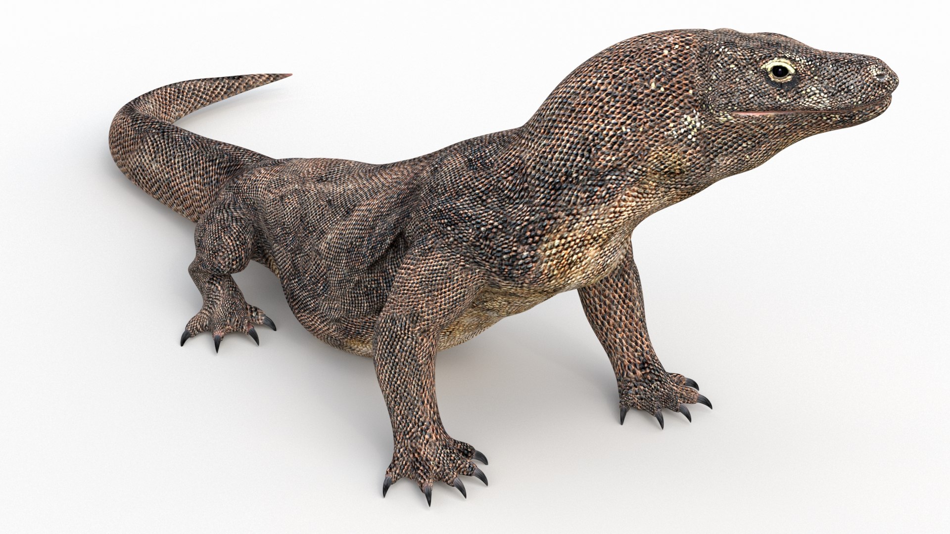 komodo dragon 3D model https://p.turbosquid.com/ts-thumb/zN/2Dr7cv/TZ3zTqwe/komododragonanimated3dmodel02/jpg/1589136703/1920x1080/fit_q87/b7f59298a31c6490d6bf3f429790955d15a8e665/komododragonanimated3dmodel02.jpg