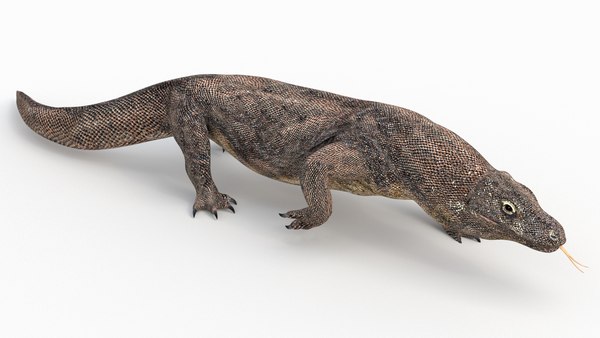 Komodo dragon 3D model - TurboSquid 1546865