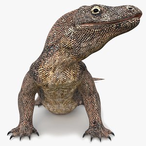 Komodo Dragon Animated