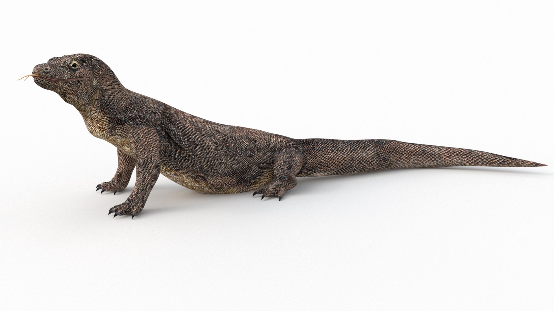 komodo dragon 3D model https://p.turbosquid.com/ts-thumb/zN/2Dr7cv/moHNnGFp/komododragonanimated3dmodel04/jpg/1589136703/1920x1080/fit_q87/d00bda257eee4ad4555dfb4d2b31d2a0d0961443/komododragonanimated3dmodel04.jpg