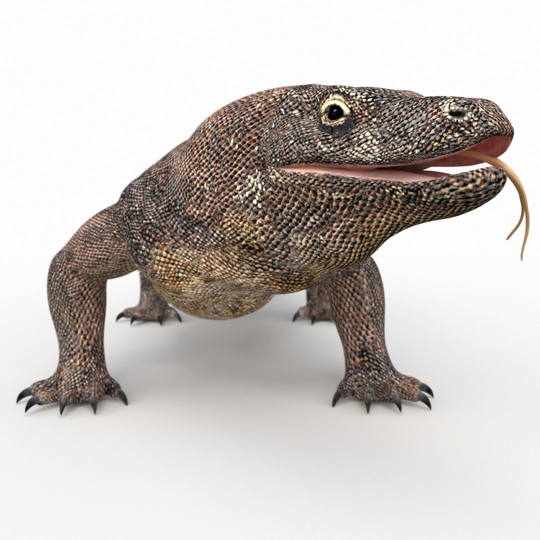 komodo dragon 3D model https://p.turbosquid.com/ts-thumb/zN/2Dr7cv/puSO8xIh/komododragonrigged3dmodel00/jpg/1589136705/1920x1080/fit_q87/790d379222c601e0cba8f3a652e697042cd9e467/komododragonrigged3dmodel00.jpg