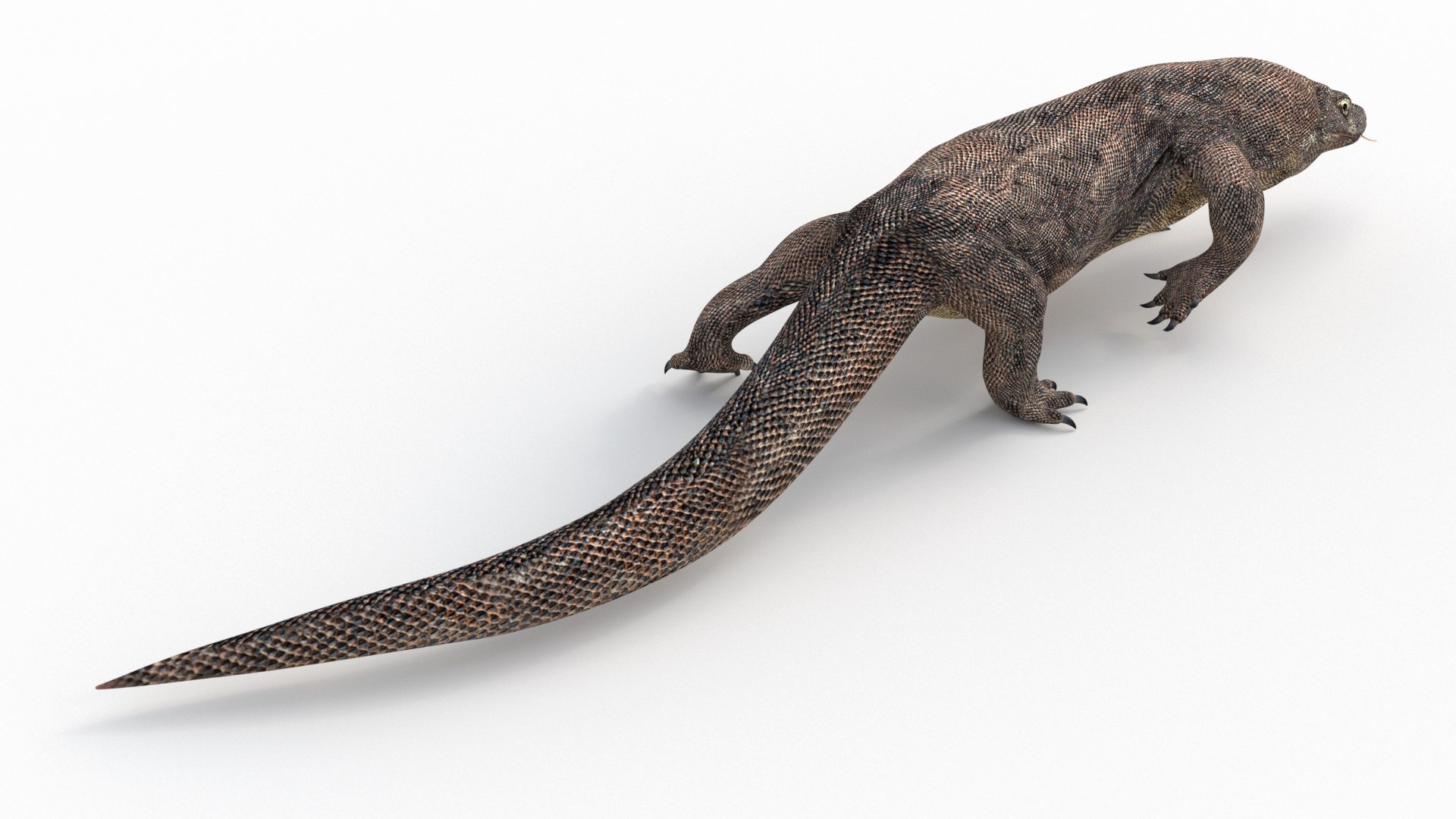 komodo dragon 3D model https://p.turbosquid.com/ts-thumb/zN/2Dr7cv/sVaZ3Wn1/komododragonanimated3dmodel06/jpg/1589136704/1920x1080/fit_q87/31733194ee7ee459d7d55fc4dcab93bb08bc7aed/komododragonanimated3dmodel06.jpg