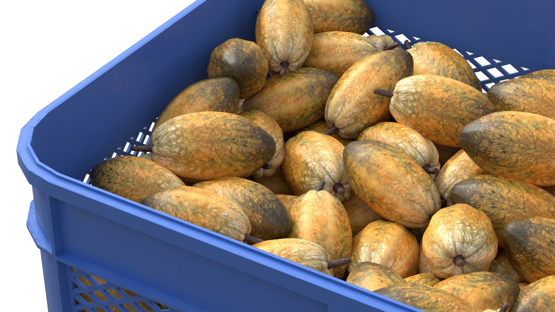 3D model Cocoa Fruit Plastic Crate https://p.turbosquid.com/ts-thumb/zN/2Exymd/05/4/jpg/1779508335/1920x1080/fit_q87/1404feb4e8b3e2336c22f51dbaeeb692823acff8/4.jpg