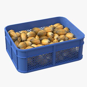 3D model Cocoa Fruit Plastic Crate