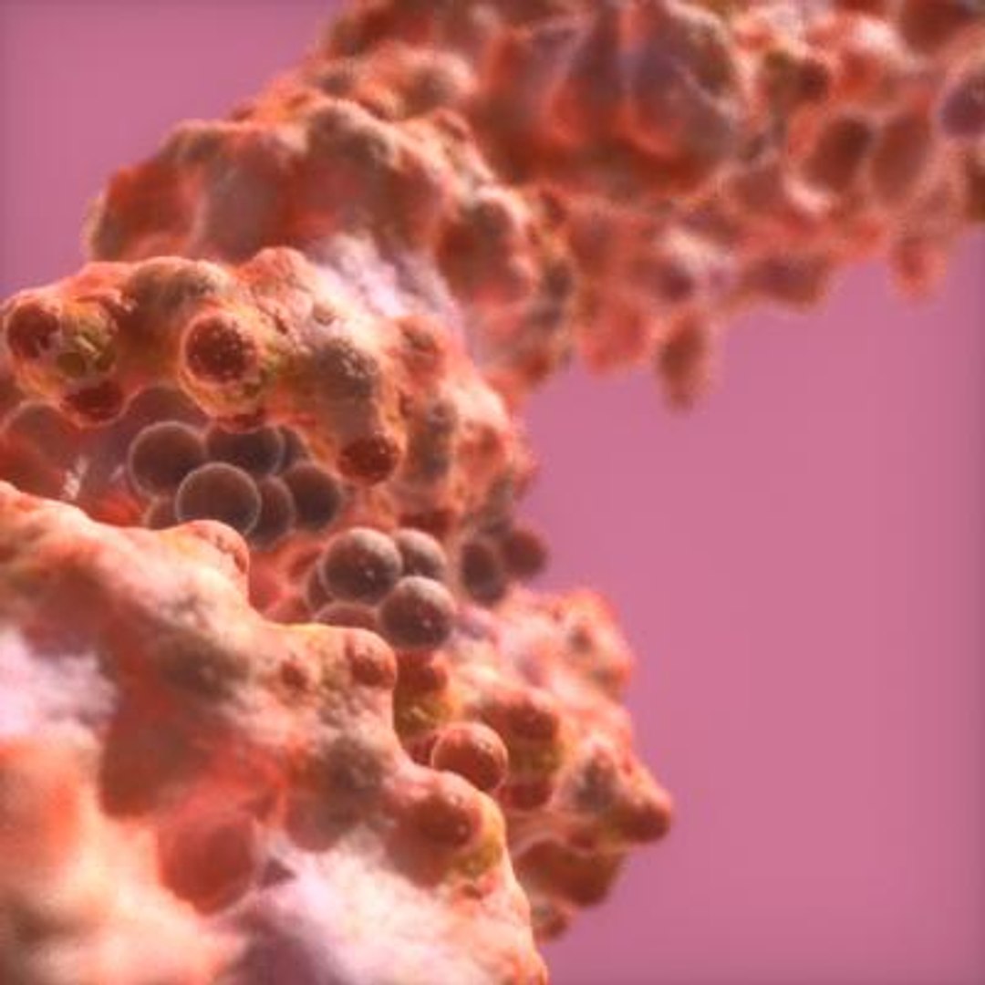 enzyme riboswitch proteins 3d max https://p.turbosquid.com/ts-thumb/zN/5ZGufE/0qsa1llR/2/jpg/1289348400/1920x1080/fit_q87/02cb736b9cd7a4ebe3e7ce83e4fbd13b11d3464c/2.jpg
