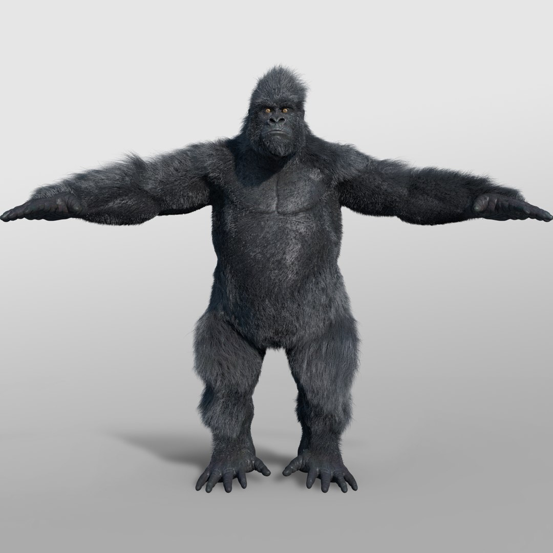 3d Ape Primate Gorilla Model