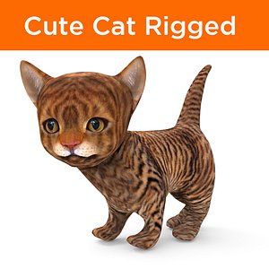 Cute cat rigged model