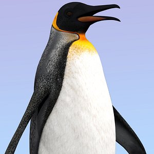 Penguin Rigged