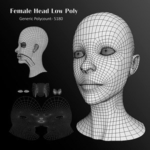 female base mesh 3D model