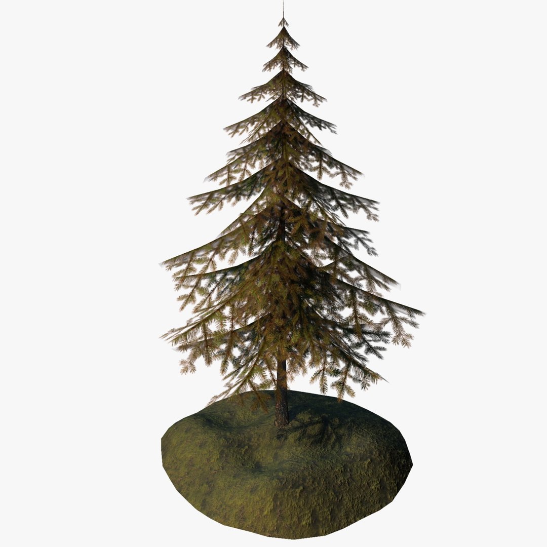 obj forest environment asset