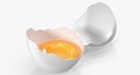 Broken White Egg