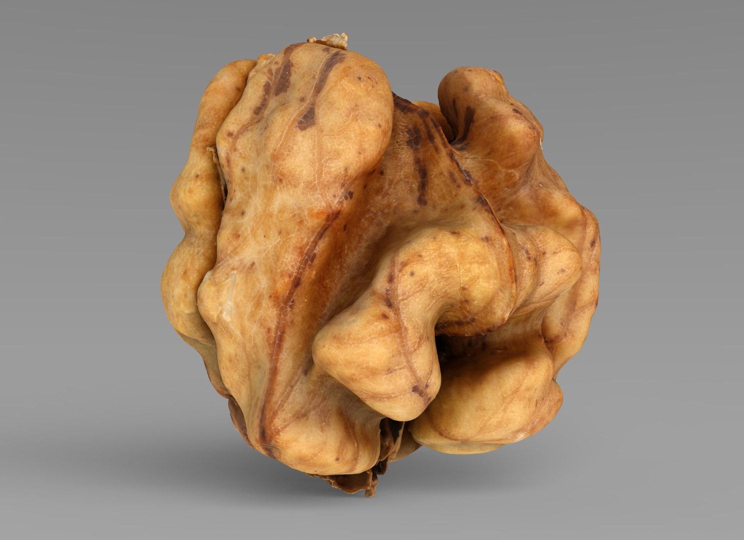 Walnut Kernel 3D Model - TurboSquid 1976552