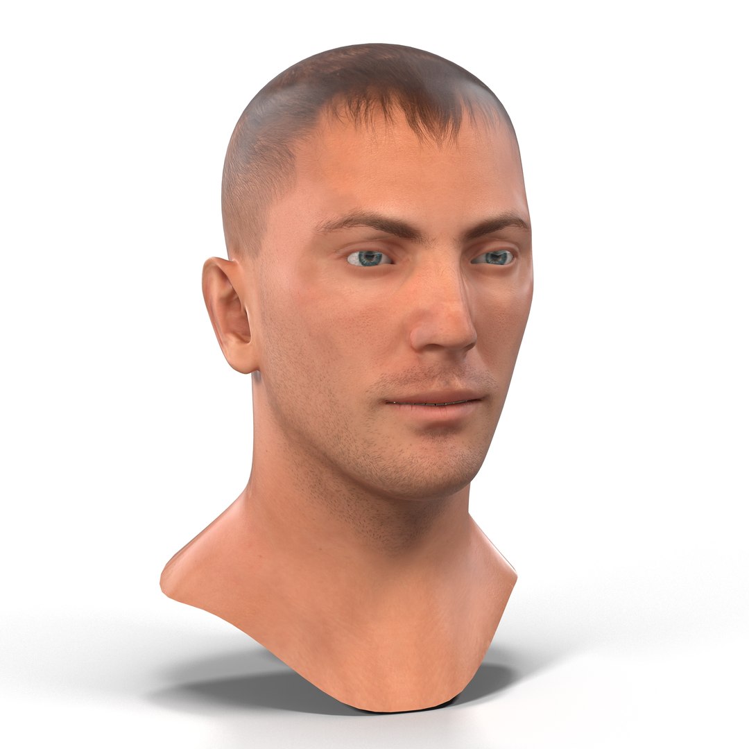 Caucasian Male Head 3D model preview