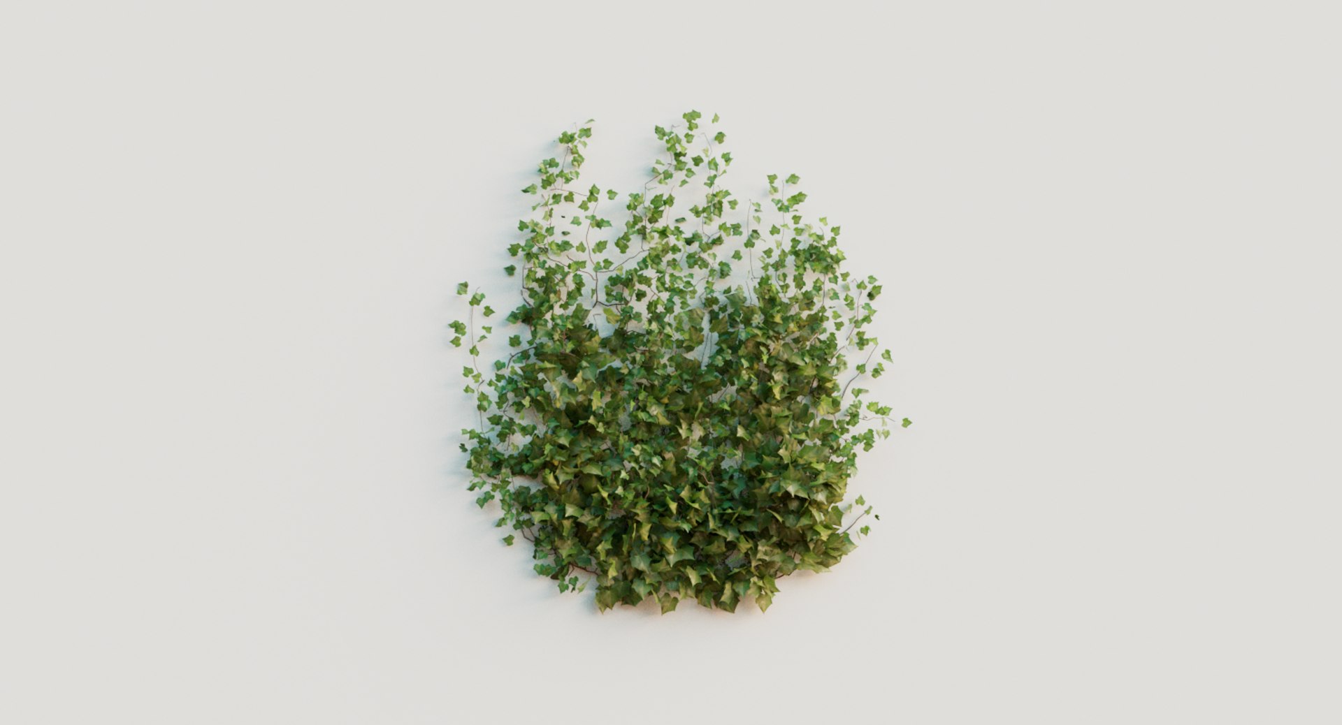 3D ivy plant model https://p.turbosquid.com/ts-thumb/zN/mRHObc/J13bmfzd/ivy_005/png/1596053080/1920x1080/fit_q87/4fe3006db59918f92d07229a6e5c4dc63f2134b0/ivy_005.jpg